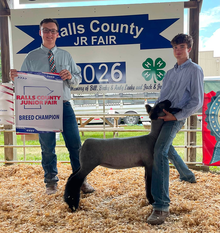 Champion Natural Ewe, Ralls County Open Show Champion Natural Ewe, Ralls County Open Show