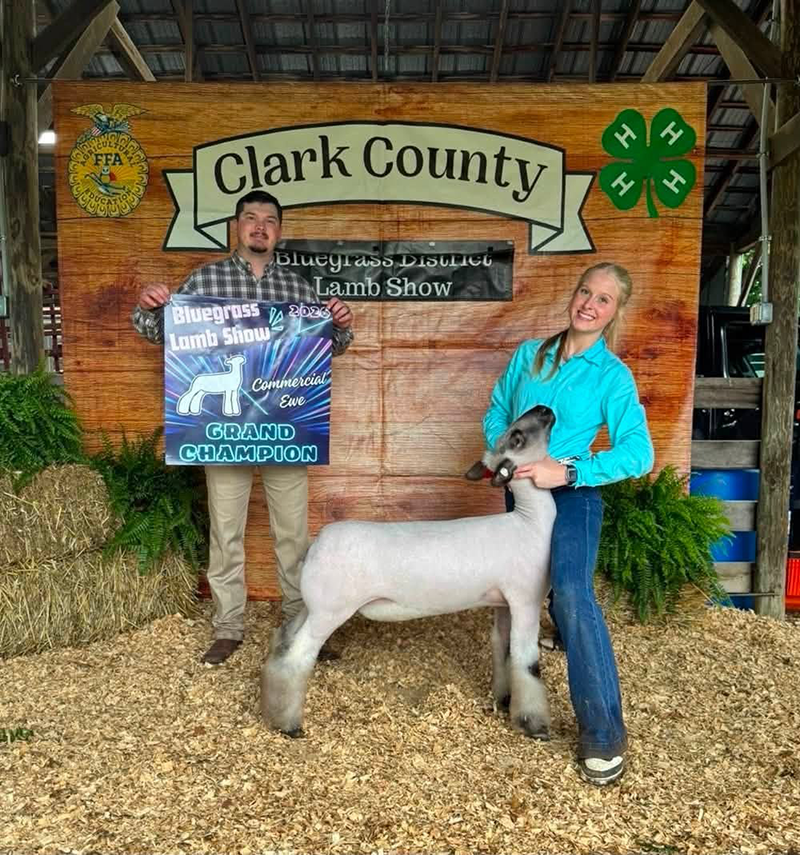 Grand Champion Commercial Ewe, Bluegrass District Lamb Show Grand Champion Commercial Ewe, Bluegrass District Lamb Show<br />