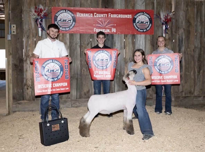 5th Overall Market Lamb, Reserve Crossbred, Venango County Jackpot 5th Overall Market Lamb, Reserve Crossbred, Venango County Jackpot