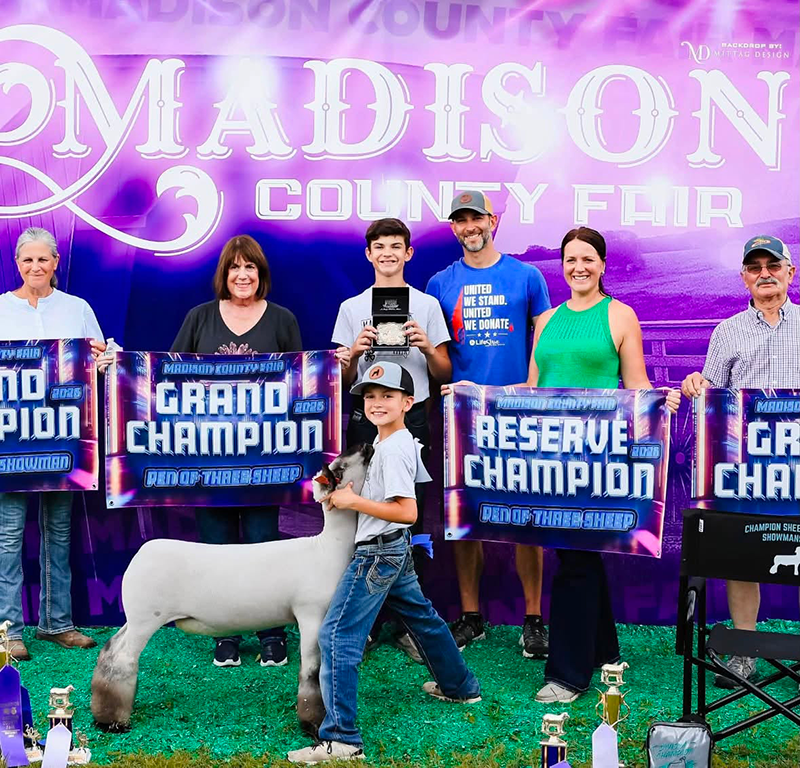 Champion Division 1 Market Lamb, Madison County Fair Champion Division 1 Market Lamb, Madison County Fair