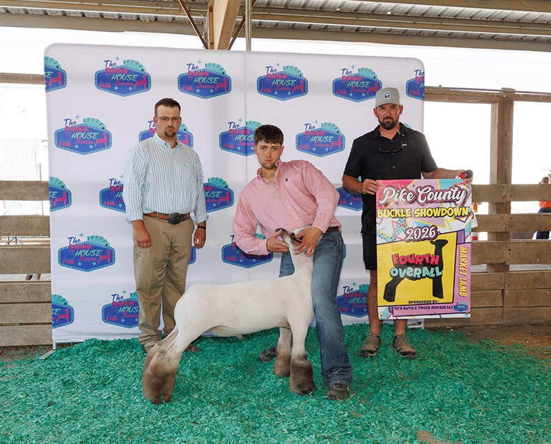 4th Overall Market Lamb, Pike County Buckle Showdown 4th Overall Market Lamb, Pike County Buckle Showdown