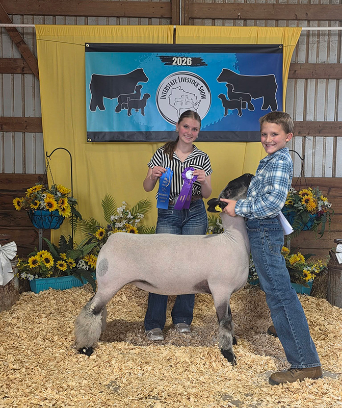 Champion Hampshire Ewe, Interstate Livestock Show Champion Hampshire Ewe, Interstate Livestock Show