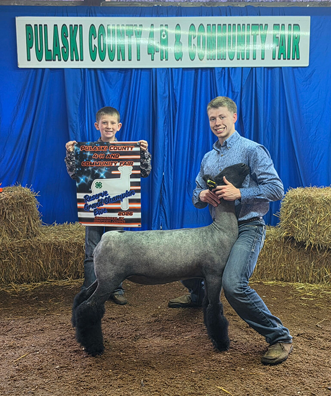 Reserve Grand Champion Ewe, Pulaski County Fair Reserve Grand Champion Ewe, Pulaski County Fair