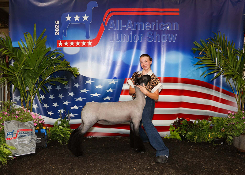 Champion Natural Market Lamb, All American Junior Show Champion Natural Market Lamb, All American Junior Show
