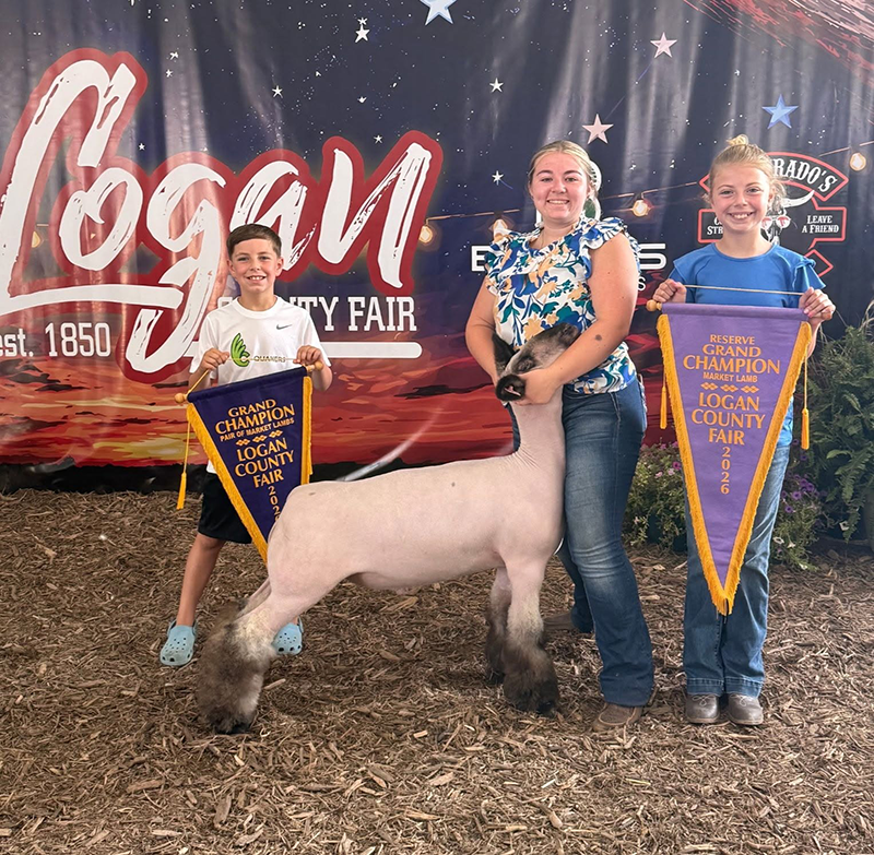 Reserve Champion Market Lamb, Logan County Fair Reserve Champion Market Lamb, Logan County Fair