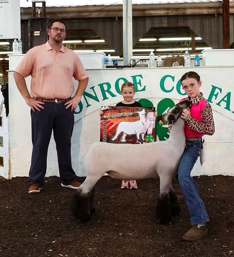 Reserve Hamp Market Lamb, Monroe County Fair Reserve Hamp Market Lamb, Monroe County Fair<br />