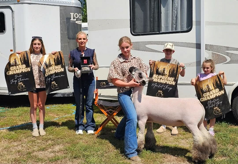 Supreme Champion Market Sheep Supreme Champion Market Sheep