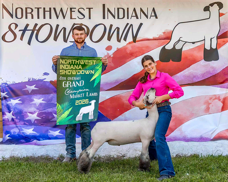 4th Overall Market Lamb, Reserve Hampshire Market Lamb 4th Overall Market Lamb, Reserve Hampshire Market Lamb
