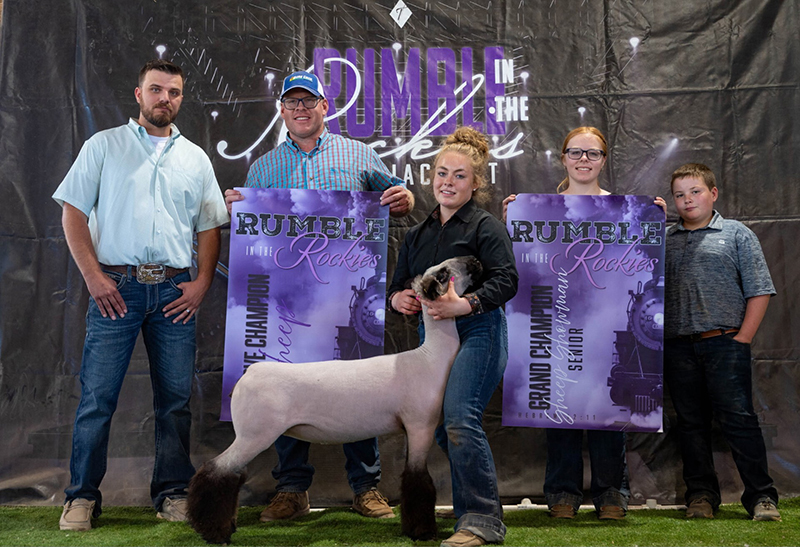 Reserve Champion Market Lamb, Champion Senior Showman, Rumble in the Rockies Reserve Champion Market Lamb, Champion Senior Showman, Rumble in the Rockies