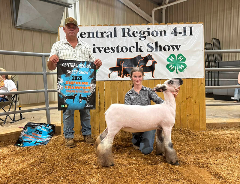 Supreme Champion Commercial Ewe, TN Central Region 4-H Livestock Show Supreme Champion Commercial Ewe, TN Central Region 4-H Livestock Show