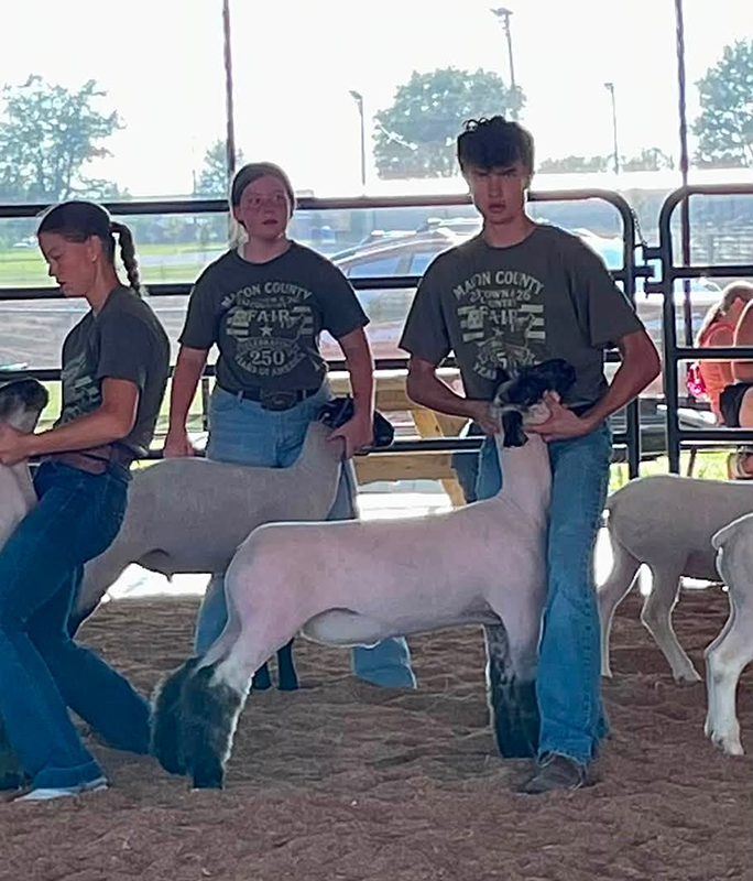 Reserve Champion Market Lamb, Macon County Fair Reserve Champion Market Lamb, Macon County Fair