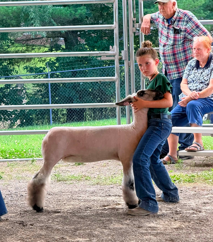Reserve Champion Market Lamb, Allen County 4-H/FFA Livestock Show Reserve Champion Market Lamb, Allen County 4-H/FFA Livestock Show