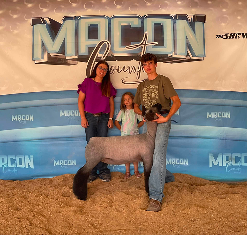Reserve Supreme Ewe, Macon County Fair Reserve Supreme Ewe, Macon County Fair