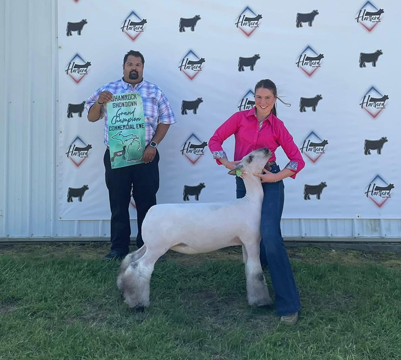 Champion Commercial Ewe – Ring 1 Reserve Commercial Ewe – Ring 2, Shamrock Showdown Champion Commercial Ewe – Ring 1</p>
<p>Reserve Commercial Ewe – Ring 2, Shamrock Showdown