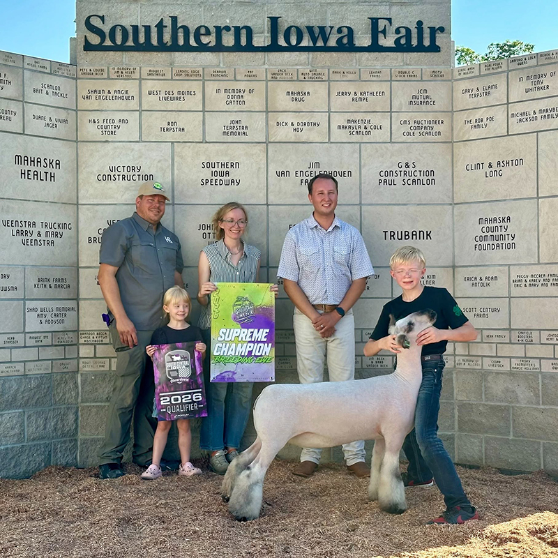 Supreme Champion Breeding Ewe, Southern Iowa Fair Supreme Champion Breeding Ewe, Southern Iowa Fair