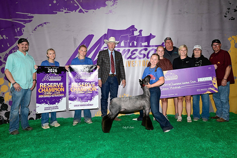 Reserve Grand Wether Dam, Reserve MN Bred & Raised Wether Dam, Champion Natural Wether Dam Reserve Grand Wether Dam, Reserve MN Bred & Raised Wether Dam, Champion Natural Wether Dam