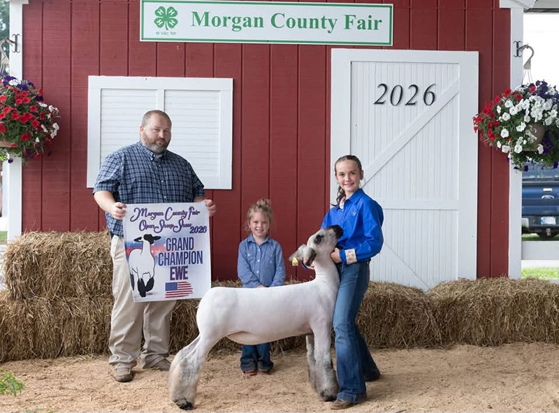 Grand Champion Ewe, Morgan County Open Show Grand Champion Ewe, Morgan County Open Show