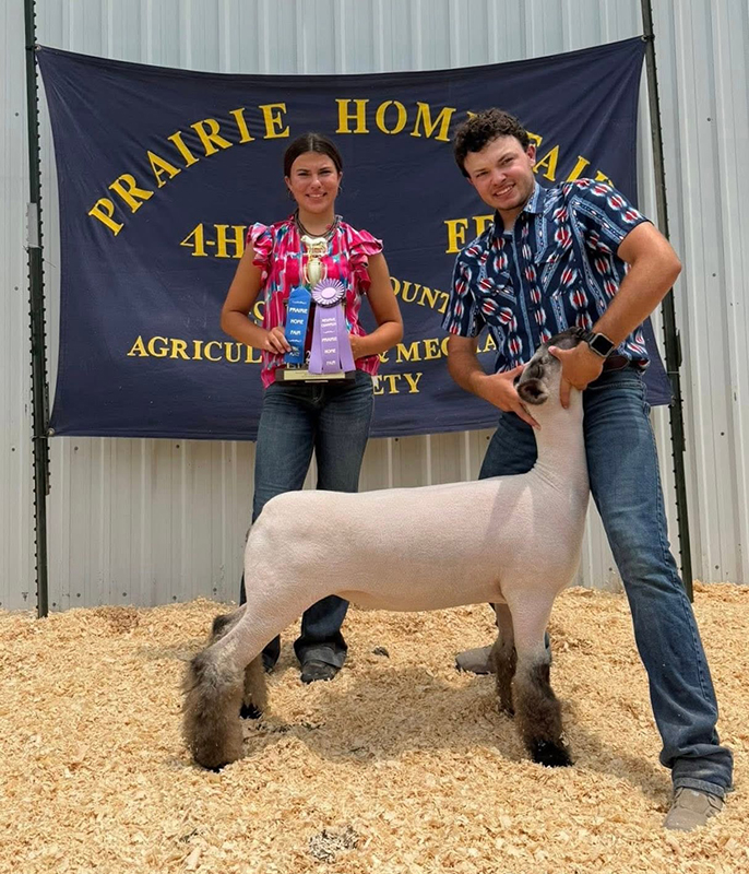 Grand Champion Wether Dam, Reserve Champion Market Animal, Prairie Home Fair Grand Champion Wether Dam, Reserve Champion Market Animal, Prairie Home Fair