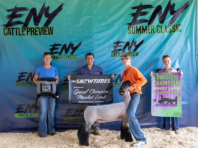 Champion Natural Ewe, Sagebrush Classic Champion Natural Ewe, Sagebrush Classic