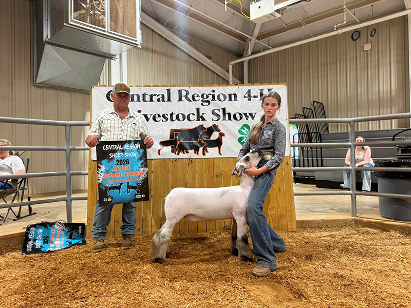 Reserve Supreme Champion Commercial Ewe, TN Central Region 4-H Livestock Show <br />
Reserve Supreme Champion Commercial Ewe, TN Central Region 4-H Livestock Show