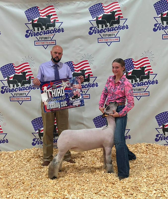 3rd Overall Commercial Ewe, Firecracker Futurity 3rd Overall Commercial Ewe, Firecracker Futurity<br />