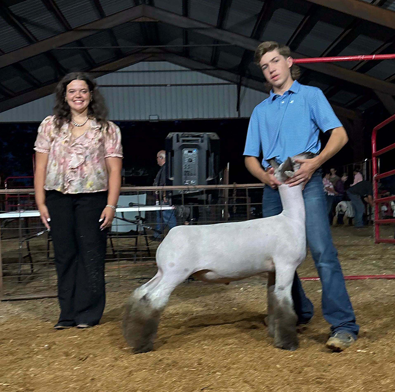 Grand Champion Market Lamb, Dade County Youth Fair Grand Champion Market Lamb, Dade County Youth Fair