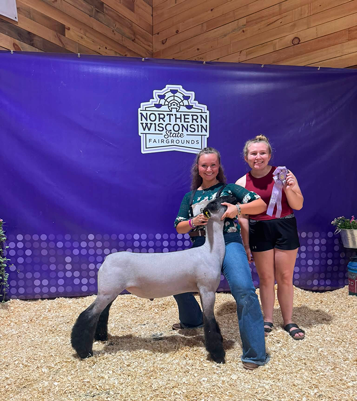 Reserve Champion Wether, Northern Wisconsin State Fair Reserve Champion Wether, Northern Wisconsin State Fair