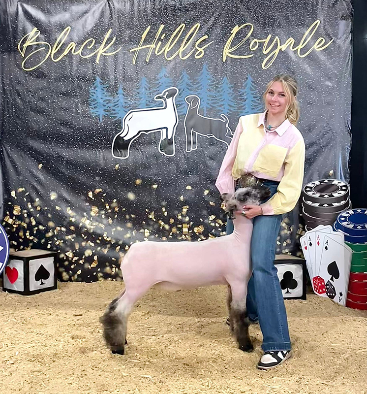 Reserve WFX Market Lamb, Jokers Wild & Royal Flush Rings, Black Hills Royale Reserve WFX Market Lamb, Jokers Wild & Royal Flush Rings, Black Hills Royale</p>
<p>