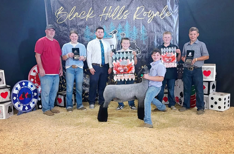 Reserve Champion Market LambChampion , Natural, Black Hills Royale Reserve Champion Market LambChampion , Natural, Black Hills Royale