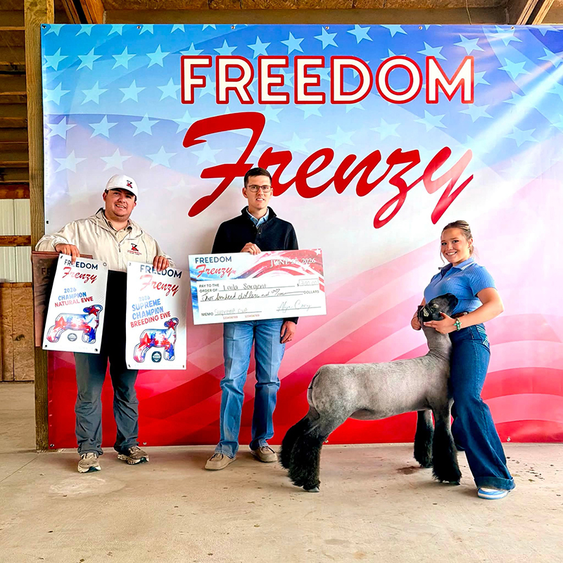 Supreme Champion Ewe, Freedom Frenzy Supreme Champion Ewe, Freedom Frenzy