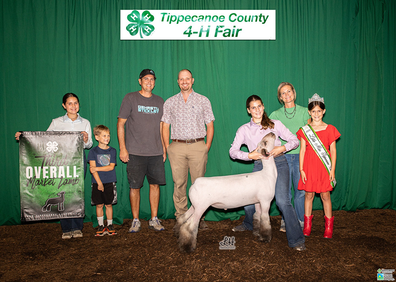 3rd Overall Market Lamb, Tippecanoe County Fair 3rd Overall Market Lamb, Tippecanoe County Fair