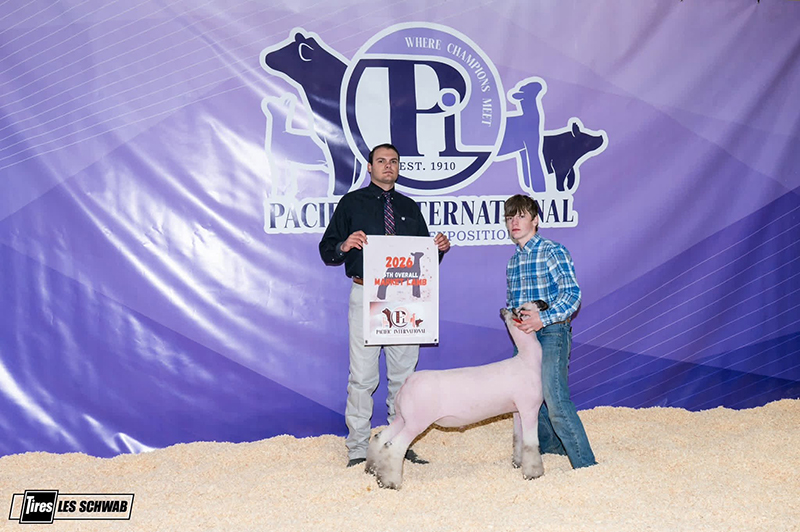 Champion Whiteface, Pacific International Livestock Champion Whiteface, Pacific International Livestock