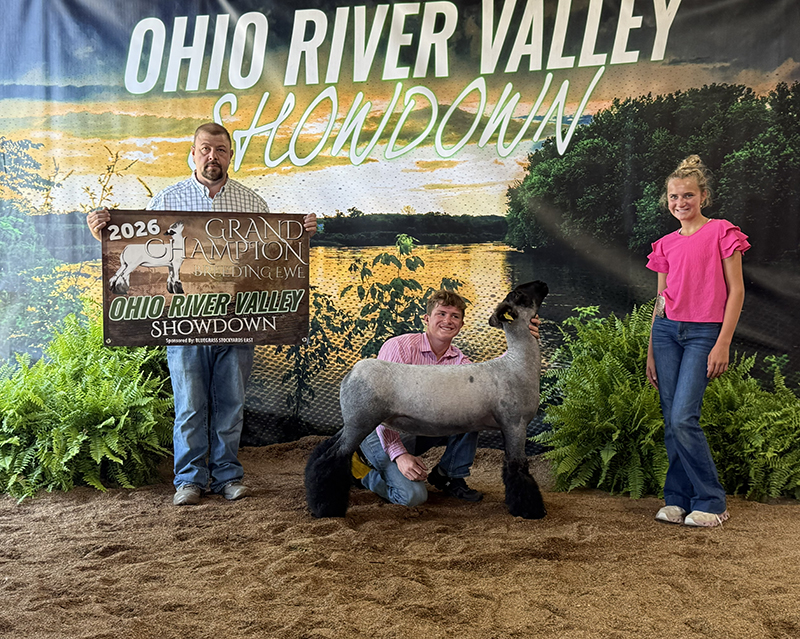 Grand Champion Breeding Ewe, Ohio River Valley Showdown Grand Champion Breeding Ewe, Ohio River Valley Showdown