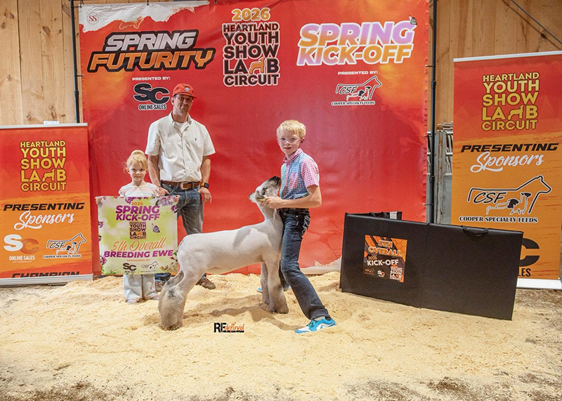 5th Overall Breeding Ewe, HYSLC Spring Kick-Off 5th Overall Breeding Ewe, HYSLC Spring Kick-Off