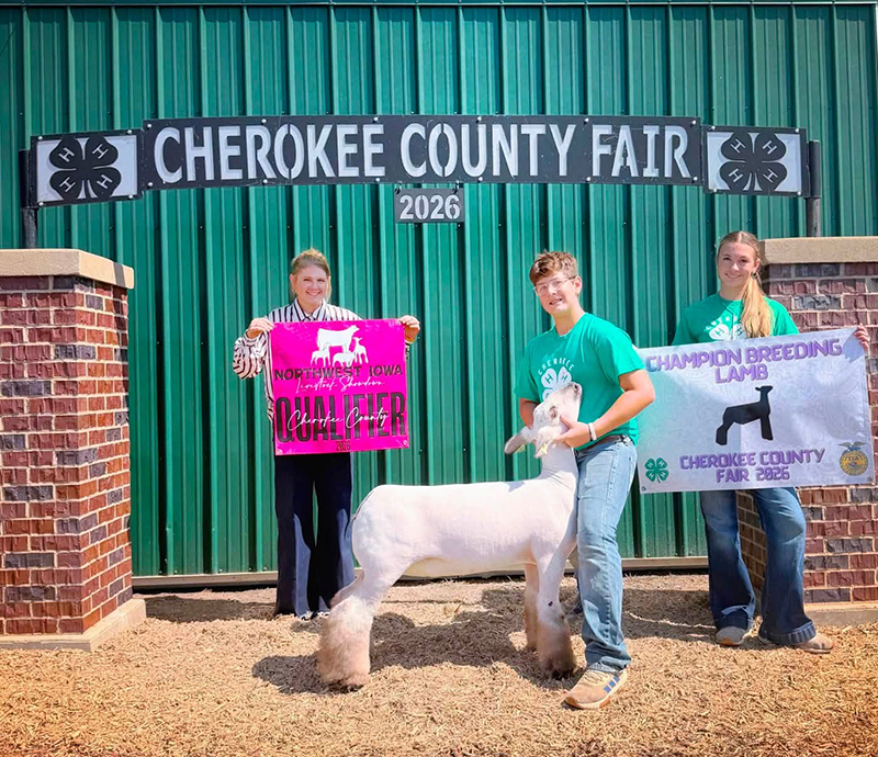 Grand Champion Breeding Ewe, Cherokee County Fair Grand Champion Breeding Ewe, Cherokee County Fair