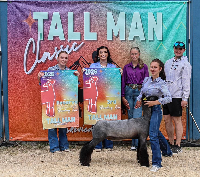3rd Overall Breeding Ewe - Show B, Reserve Natural Ewe - Show A & B, Tall Man Classic 3rd Overall Breeding Ewe - Show B, Reserve Natural Ewe - Show A & B, Tall Man Classic