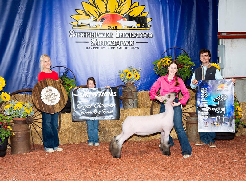 Grand Champion Breeding Ewe, Sunflower Livestock Showdown Grand Champion Breeding Ewe, Sunflower Livestock Showdown