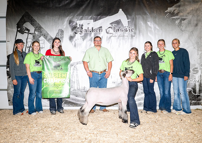 Supreme Champion Ewe – Day 2, Reserve Supreme Ewe – Day 1, Bakken Classic Supreme Champion Ewe – Day 2, Reserve Supreme Ewe – Day 1, Bakken Classic