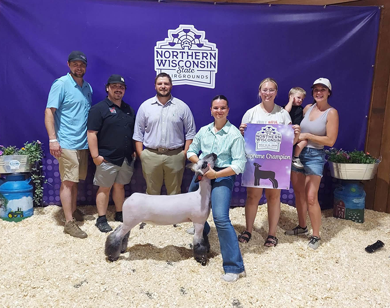 Grand Champion Ewe, Champion Wether Type Ewe, Northern Wisconsin State Fair Grand Champion Ewe, Champion Wether Type Ewe, Northern Wisconsin State Fair