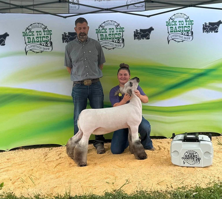 Grand Champion Ewe, Back to the Basics Livestock Show Grand Champion Ewe, Back to the Basics Livestock Show