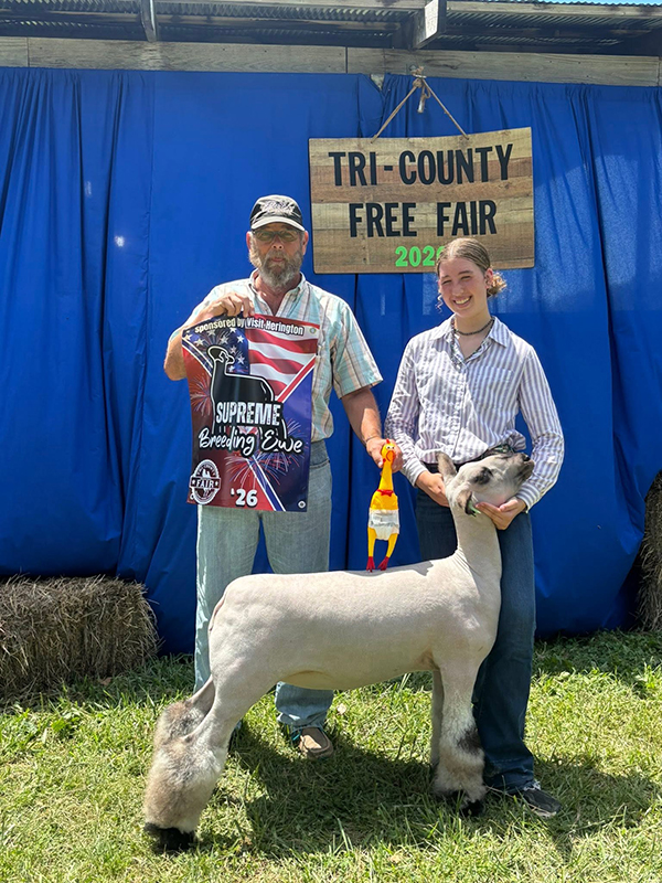 Supreme Breeding Ewe, Tri-County Free Fair Supreme Breeding Ewe, Tri-County Free Fair<br />
