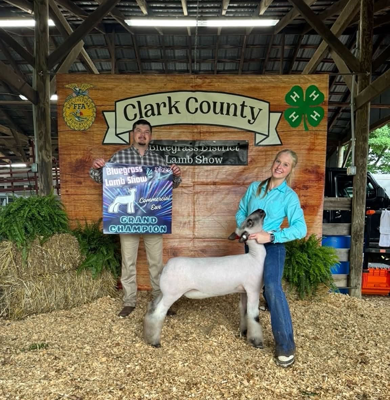 Grand Champion Commercial Ewe, Bluegrass District Lamb Show Grand Champion Commercial Ewe, Bluegrass District Lamb Show