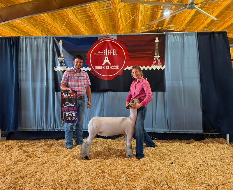 3rd Overall, Commercial Ewe, Eiffel Tower Classic 3rd Overall, Commercial Ewe, Eiffel Tower Classic