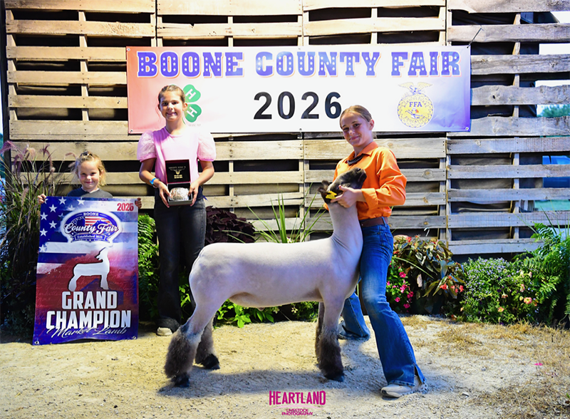 Grand Champion Market Lamb, Boone County Fair Grand Champion Market Lamb, Boone County Fair<br />