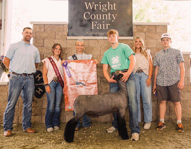 Grand Champion Market Lamb, Wright County Fair Grand Champion Market Lamb, Wright County Fair