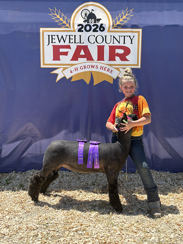 Grand Champion Ewe, Jewell County Fair Grand Champion Ewe, Jewell County Fair