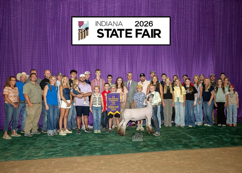 4th Overall Market Lamb, Reserve Champion Hamp, Indiana State Fair 4th Overall Market Lamb, Reserve Champion Hamp, Indiana State Fair