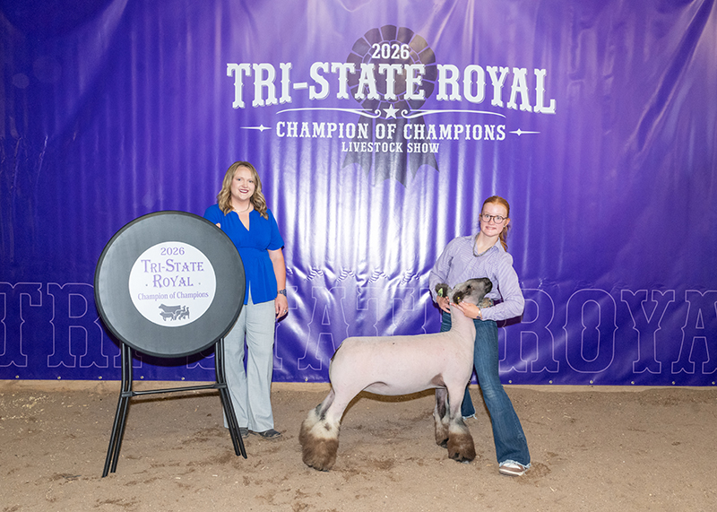 Reserve Supreme Breeding Ewe, Tri-State Royal, Champions of Champions Reserve Supreme Breeding Ewe, Tri-State Royal, Champions of Champions
