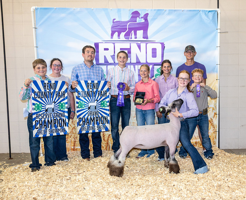 Grand Champion Breeding Ewe, Reno County Fair Grand Champion Breeding Ewe, Reno County Fair