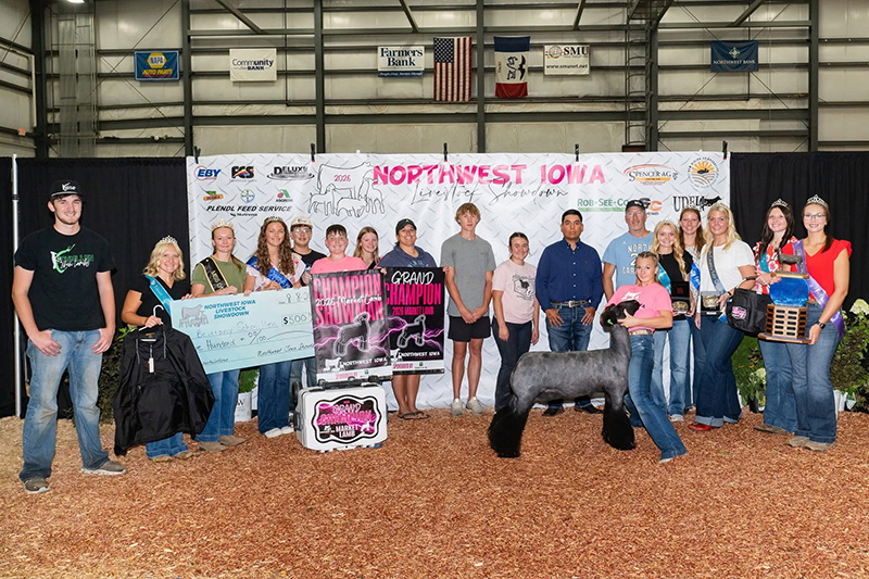 Grand Champion Market Lamb, Northwest Iowa Showdown Grand Champion Market Lamb, Northwest Iowa Showdown